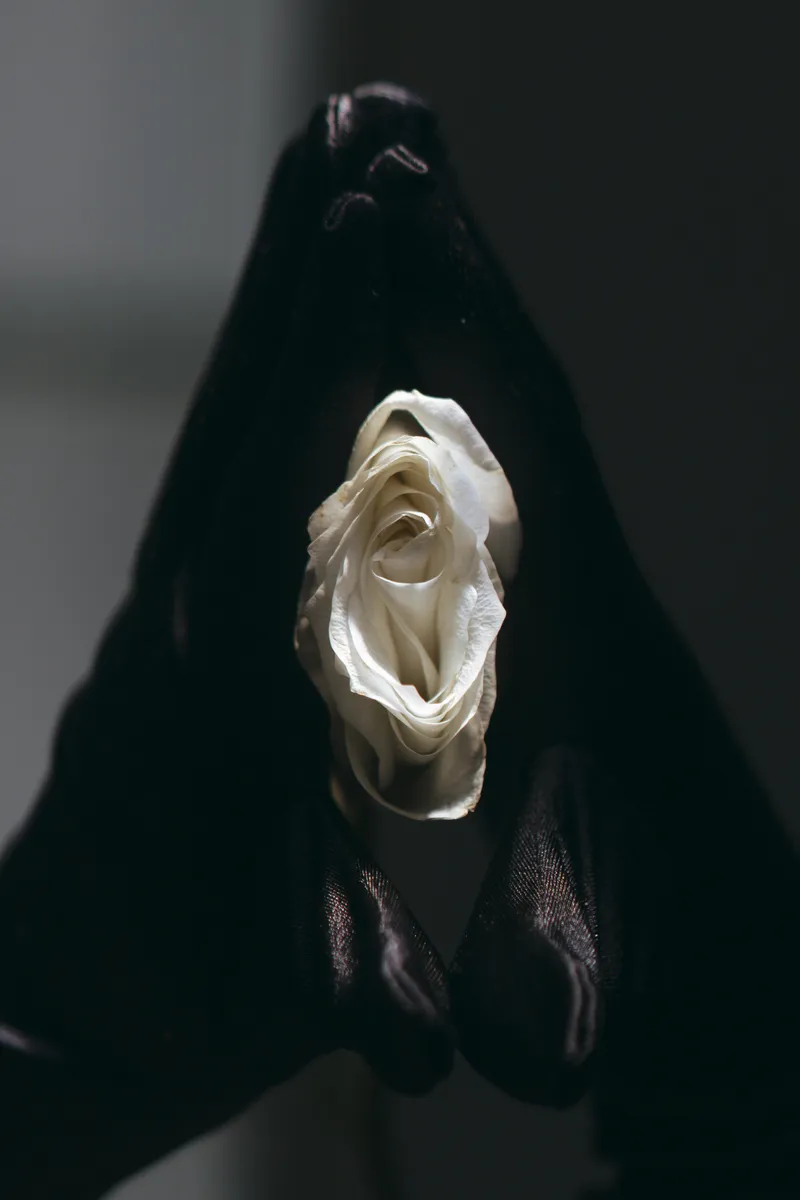 Интимная пластика