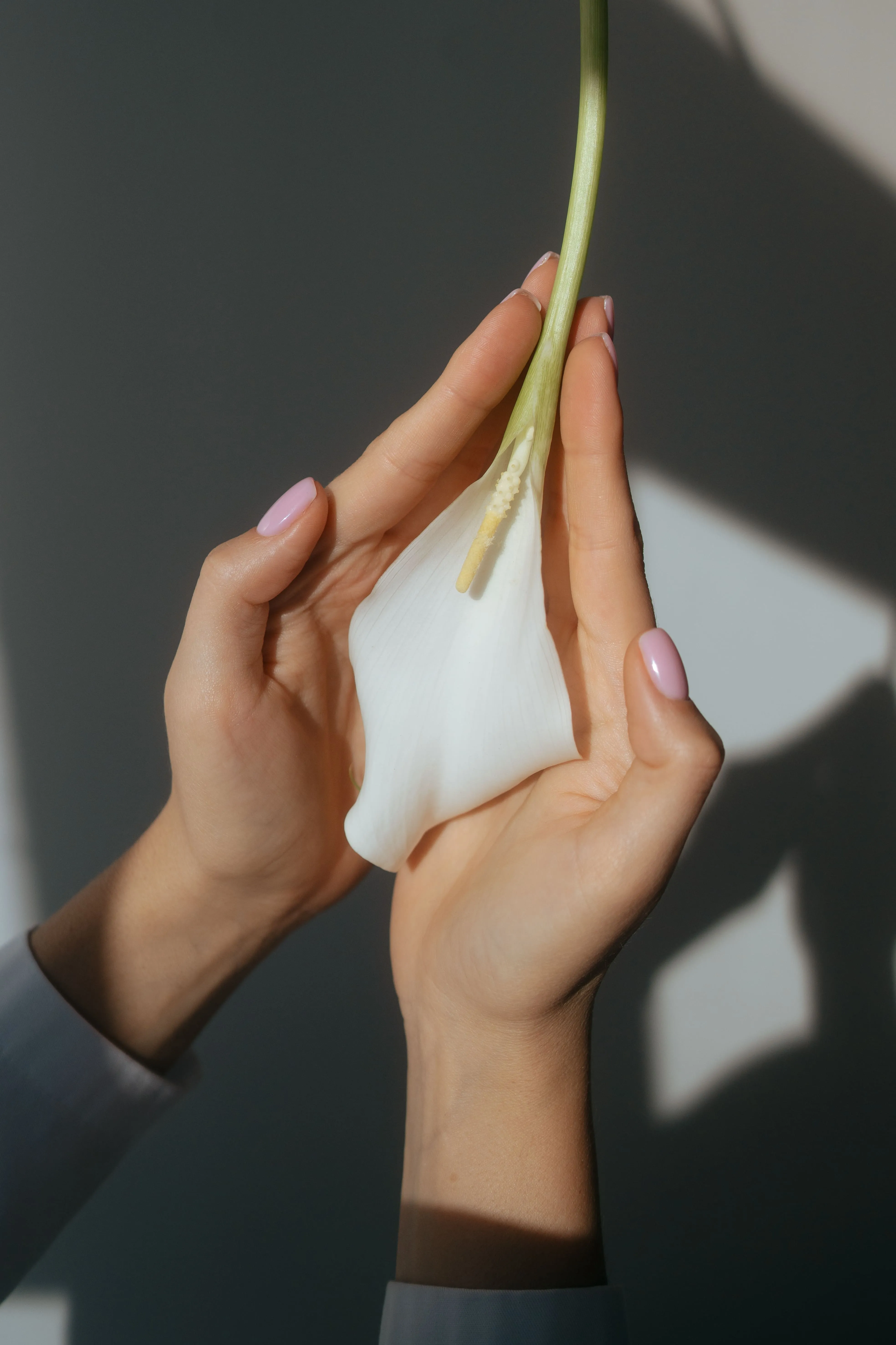 Интимное омоложение гиалуроновой кислотой